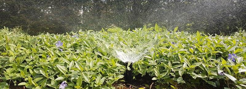 Garten Und Grunflachenbewasserung Beregnungsanlagen